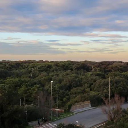 Appartement Delizioso Vista Mare E Pineta *